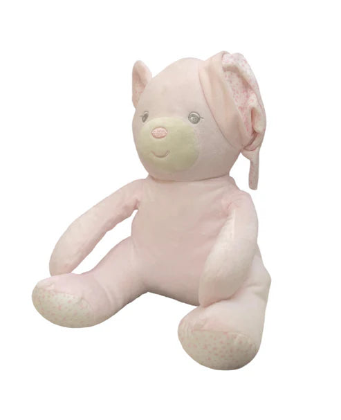 Pink Sleepy Teddy Giftset- Toy and Blanket Set 75cm x 100cm