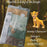 Brand: George | Pack of 5 Sleepsuits | 0-3 Months | Simba Character